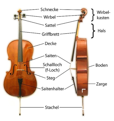 Das Violoncello und seine Teile
